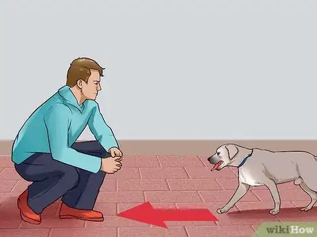 Imagen titulada Gain the Trust of a Stray Dog Step 4