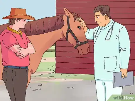 Imagen titulada Treat Horse Eye Problems Step 1