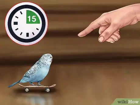 Imagen titulada Play With Your Parakeet Step 9