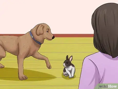 Imagen titulada Introduce a Dog and a Rabbit Step 11