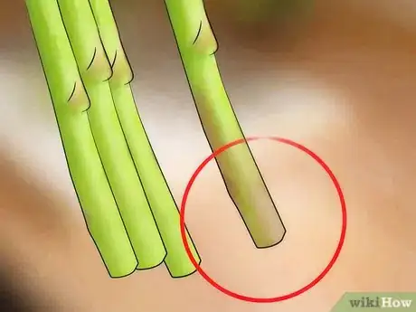 Imagen titulada Choose Asparagus Step 4