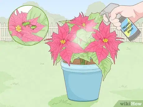 Imagen titulada Revive a Dying Poinsettia Step 11