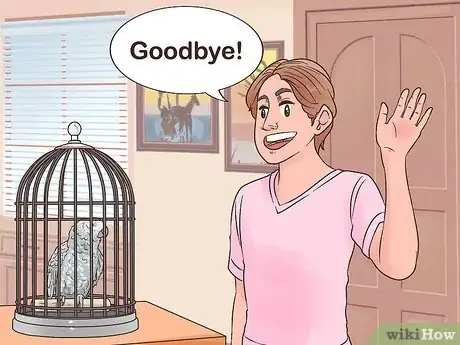 Imagen titulada Encourage an African Grey Parrot to Speak Step 19