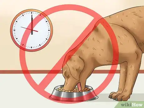 Imagen titulada Keep a Dog From Throwing Up Step 7