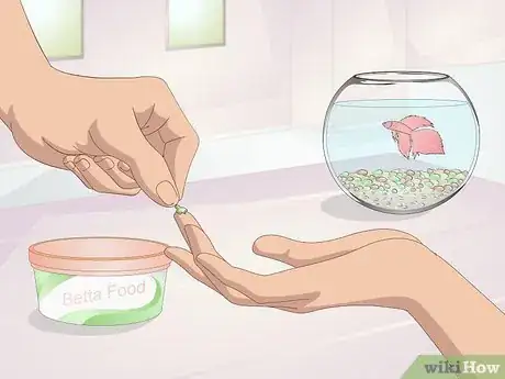 Imagen titulada Teach Your Betta to Jump Step 5