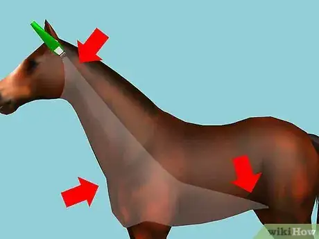 Imagen titulada Clip Your Horse Step 3