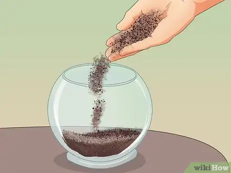 Imagen titulada Make Moss Terrariums Step 10