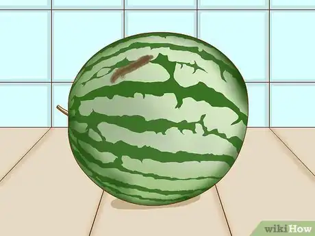 Imagen titulada Tell if a Watermelon Is Bad Step 1