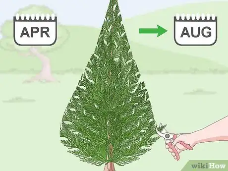 Imagen titulada Prune a Leyland Cypress Step 6