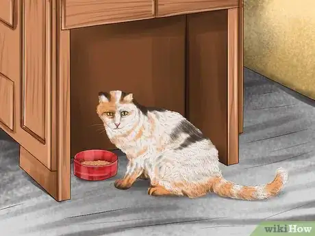 Imagen titulada Choose the Right Place to Feed Your Cat Step 4