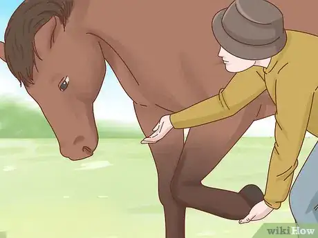 Imagen titulada Take Care of Your Horse Step 21