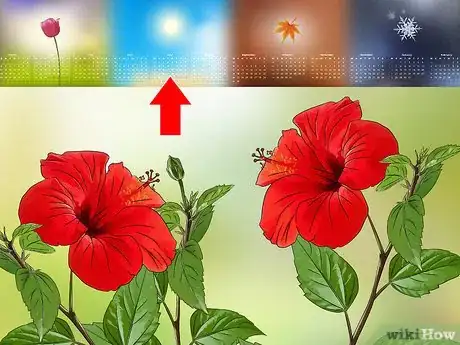 Imagen titulada Propagate Hibiscus Step 1