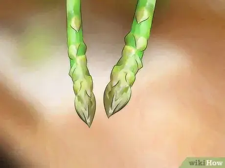 Imagen titulada Choose Asparagus Step 5