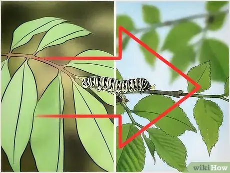 Imagen titulada Get Rid of Caterpillars Step 5