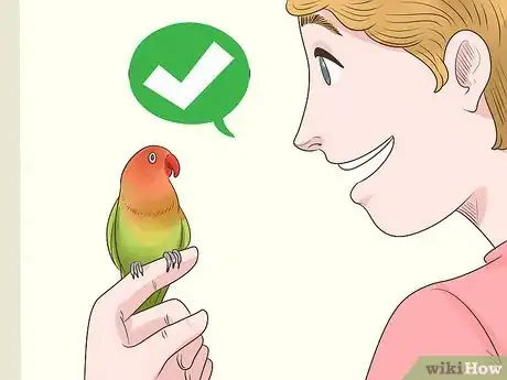 Imagen titulada Bond with a Lovebird Step 6