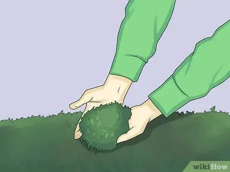 Imagen titulada Fertilize a Garden Cheaply Step 5