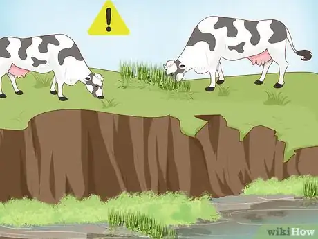 Imagen titulada Prevent Soil Erosion Step 13