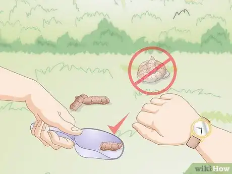 Imagen titulada Get a Fecal Sample from Your Dog Step 5