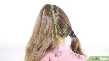 Imagen titulada Make a Crown Braid Step 1