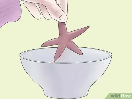 Imagen titulada Preserve a Starfish for a Decoration Step 3