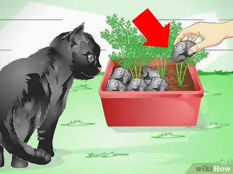 Imagen titulada Keep a Cat out of Potted Plants Step 1