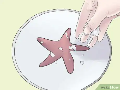 Imagen titulada Preserve a Starfish for a Decoration Step 5