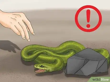 Imagen titulada Remove Duct Tape from a Snake Step 1