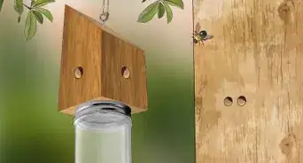 hacer una trampa para abejas