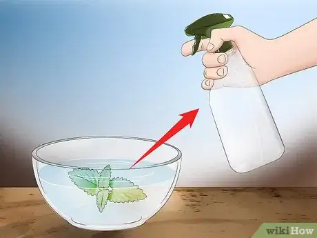 Imagen titulada Kill Cockroaches or Ants Without Pesticide Step 14