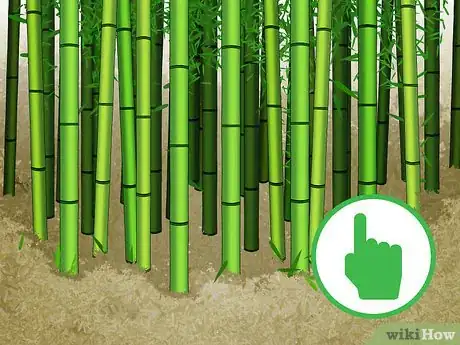 Imagen titulada Cut Bamboo Step 1