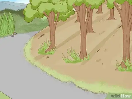 Imagen titulada Prevent Soil Erosion Step 10