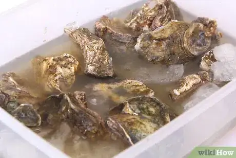 Imagen titulada Store Fresh Oysters Step 13