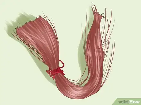 Imagen titulada Make a Horse Hair Bracelet Step 1