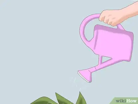 Imagen titulada Take Care of Your Neighbor's Plants While They're Away Step 6