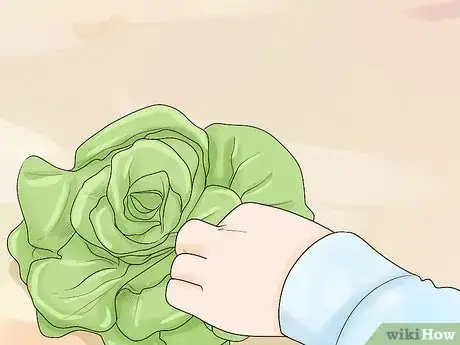 Imagen titulada Harvest Buttercrunch Lettuce Step 6