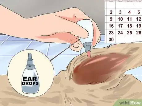 Imagen titulada Treat Ear Infections in Cocker Spaniels Step 9