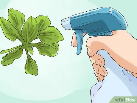 Imagen titulada Kill Weeds With Vinegar Step 4