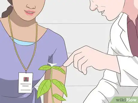 Imagen titulada Become an Herbalist Step 7