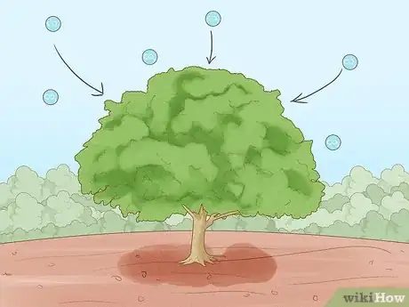 Imagen titulada Plant Trees to Fight Climate Change Step 1