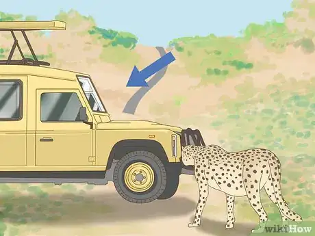 Imagen titulada Survive a Cheetah Attack Step 3