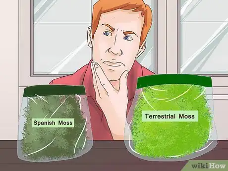 Imagen titulada Make Moss Terrariums Step 4