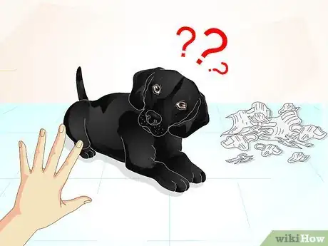 Imagen titulada Train a Naughty Labrador Step 6