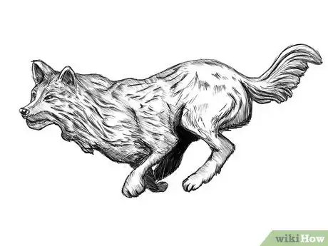 Imagen titulada How to Draw a Running Wolf Step 6