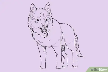 Imagen titulada Draw a Wolf Step 17