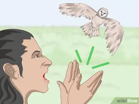 Imagen titulada Keep Owls Away Step 1