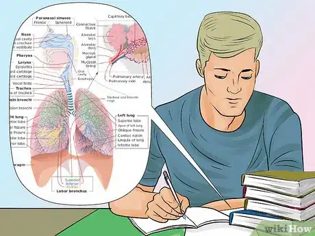 Imagen titulada Study Anatomy Step 3