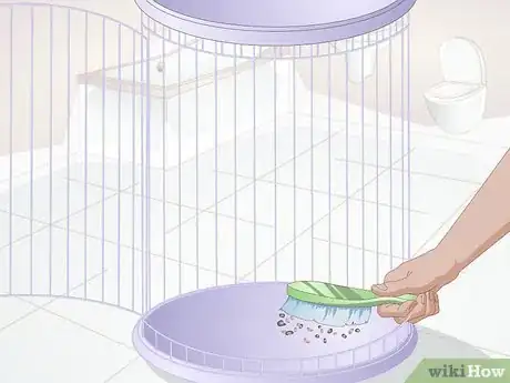 Imagen titulada Get Rid of Mites on Budgies Step 2