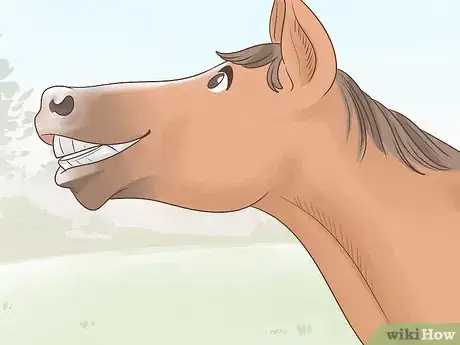 Imagen titulada Tell if a Horse Is Happy Step 10