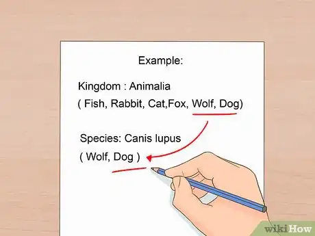 Imagen titulada Classify Animals Step 3