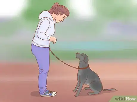 Imagen titulada Stop a Dog from Chasing Step 10